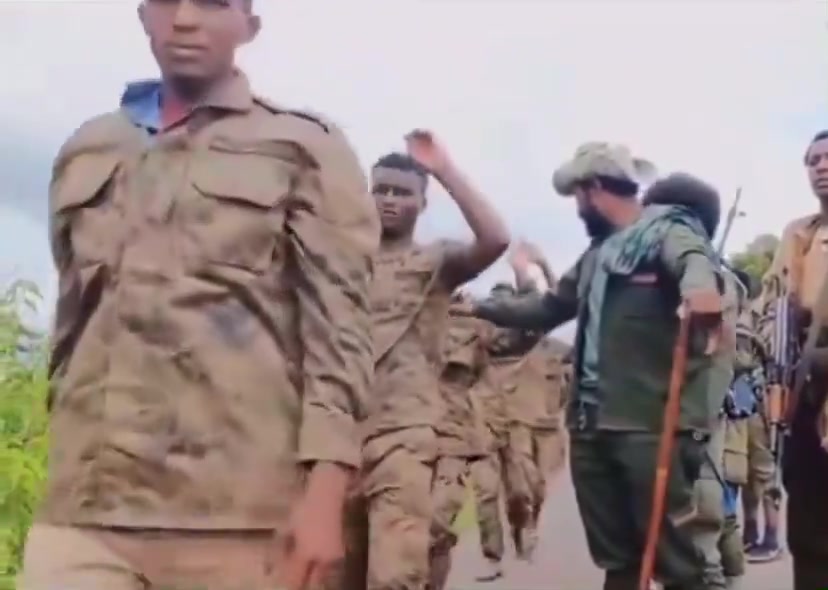 Las fuerzas de Fano/Amhara capturaron a 30 soldados de la ENDF en Gondar después de rodear su campamento y derrotarlos.