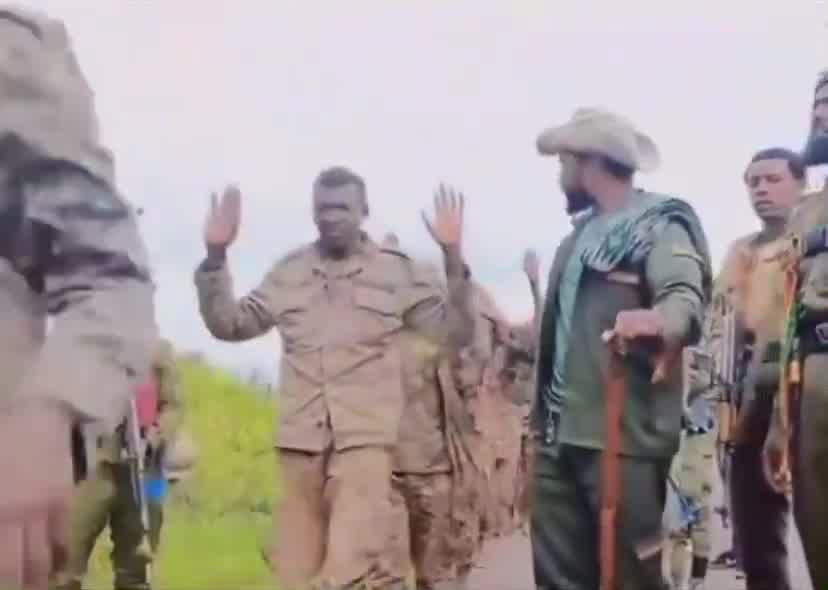 Les forces Fano/Amhara ont capturé 30 soldats ENDF à Gondar après avoir encerclé leur camp et les avoir vaincus